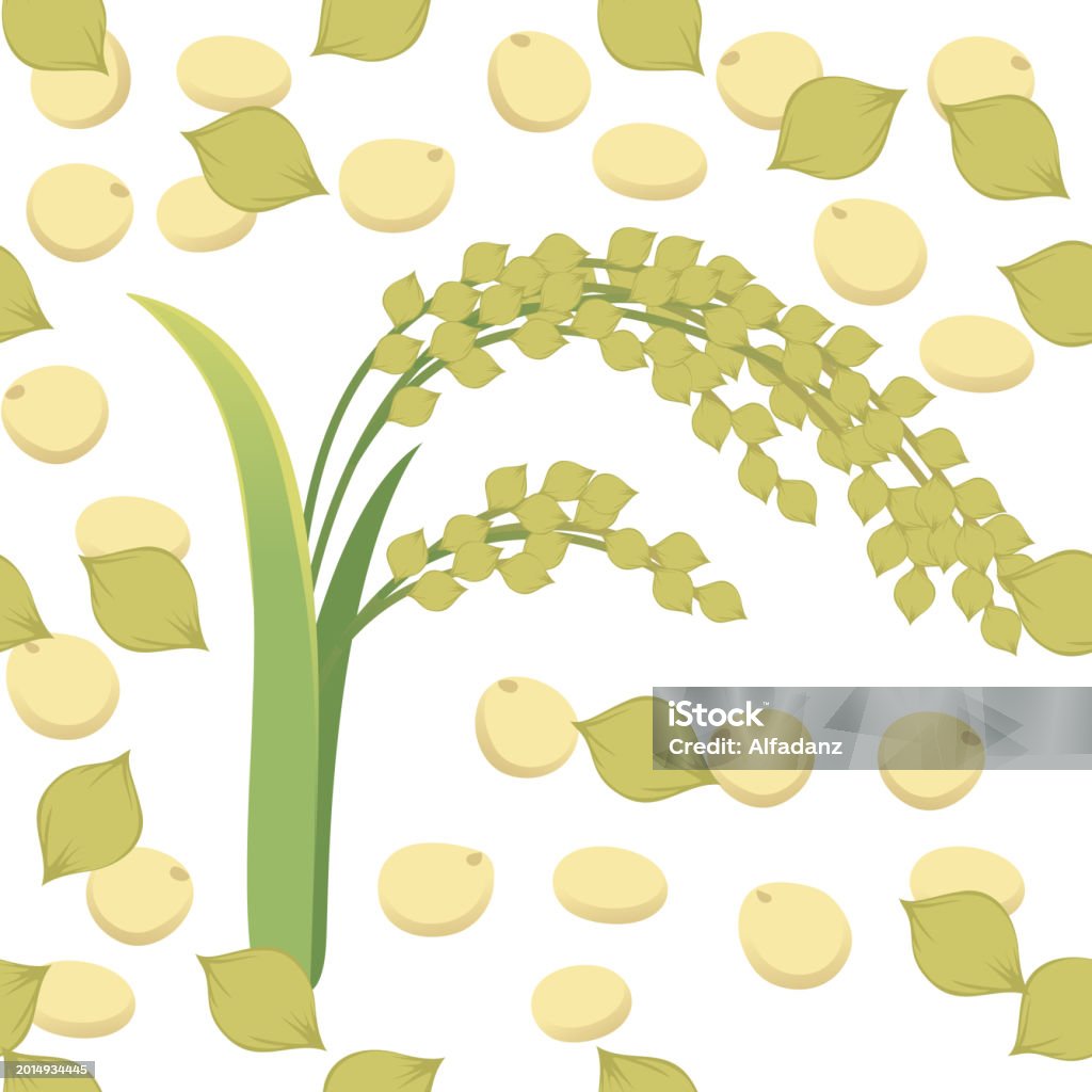 Millet Vector Pattern Seamless Pattern Millet Agriculture Plant With Ears Grain Vector ...