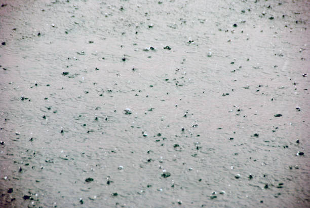 Heavy rain and the sea