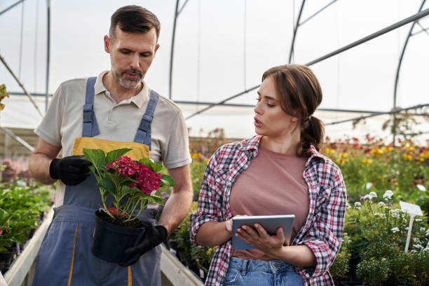 istock Two caucasian botanists standing in the greenhouse and using digital tablet 2014939179