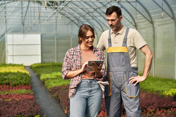 istock Two caucasian botanists standing in the greenhouse and using digital tablet 2014940212