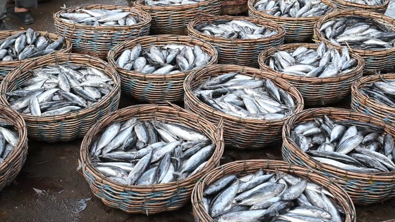 Small tuna in a basket at a fish market in Banda Aceh, Indonesia