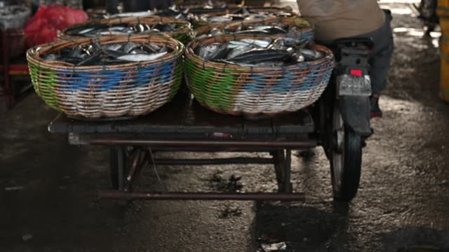 Tuna is transported by vehicle to the market