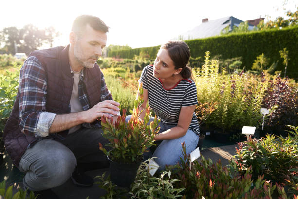 istock Worker advising the clinet over plants in garden center 2014956510