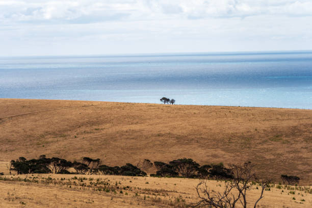 Vast landscape on Kangaroo Island, South Australia
