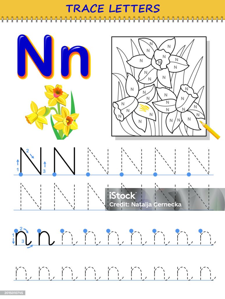 Graph Letter N Tracing Letter N For Study Alphabet Printable Worksheet For Kids ...