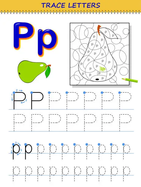Vector illustration of Tracing letter P for study alphabet. Printable worksheet for kids. Education page for coloring book. Developing children skills for writing and tracing ABC. Vector cartoon image for school textbook.