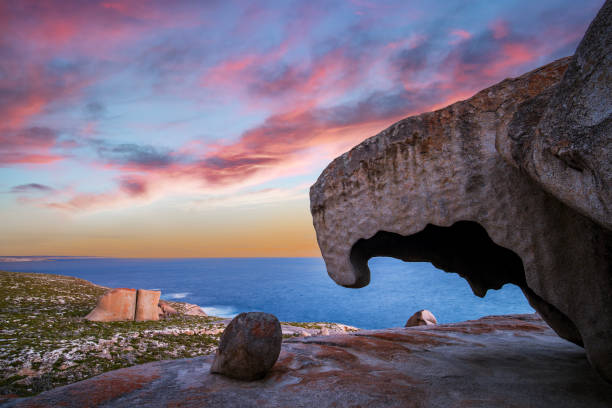 Tasmanian Tranquility: A Captivating Portrait of a Wallaby in the Wilderness