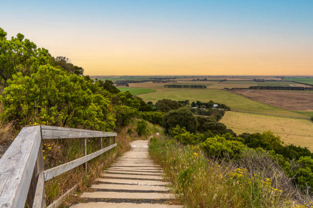 istock The stair leading to Mt Schank Lookout Point 2015056320