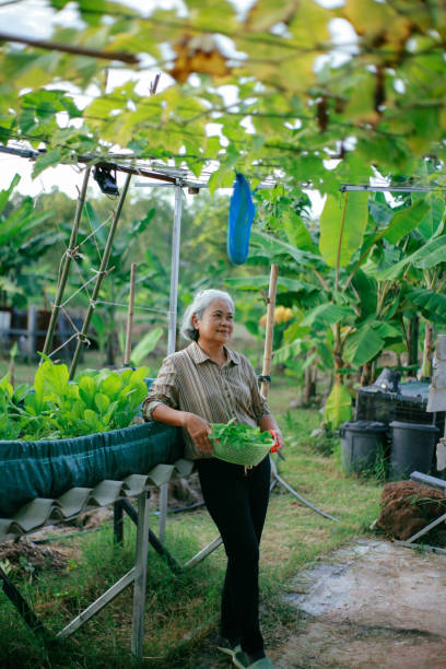 istock retired woman in her garden 2015065700