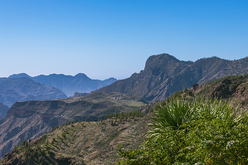 The Green Plateau Of Acusa Verde Above The Barranco De Tejeda