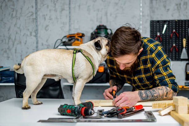 istock Pug kissing young man 2015084992