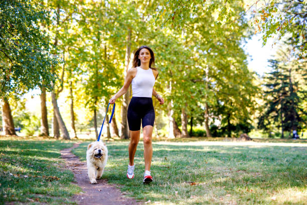 istock Handsome young woman running with Chow Chow 2015087096
