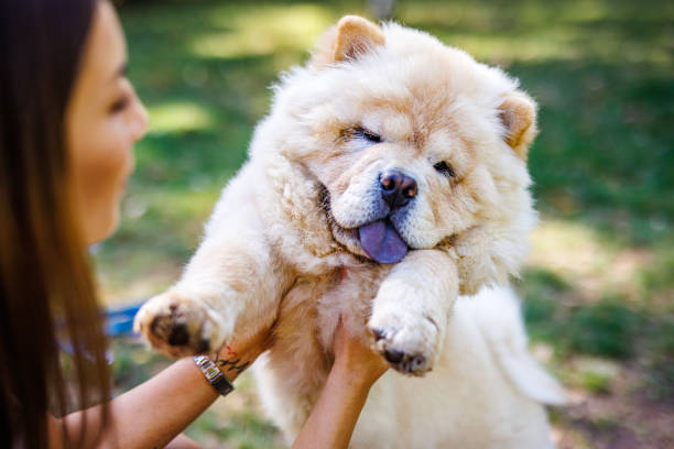 istock Woman cuddle loving dog 2015088138