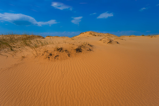 wide sandy desert under blue cloudy sky