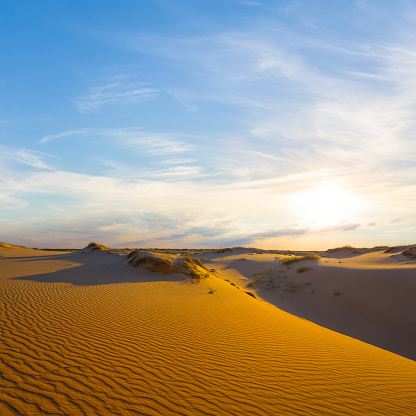 wide sandy desert at the sunset