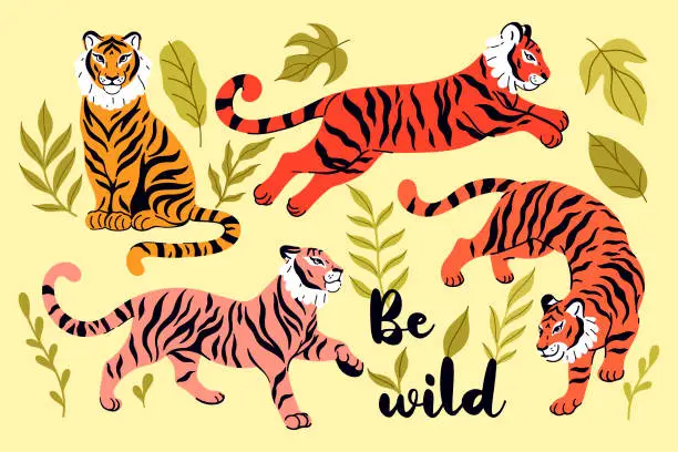 Vector illustration of Set of wild tigers and tropical leaves. Vector graphics.