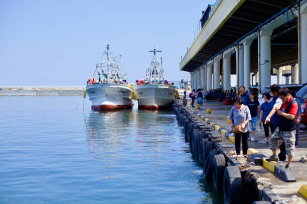 Gangneung City, South Korea - July 29th, 2019: Side-by-side fishing boats rest in Jumunjin Port, with an awning-covered market nearby and sightseers gazing at the waters, while tires hang on the walls for ship protection.