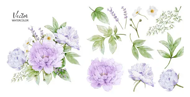 Vector illustration of Set of watercolor bouquets with peony flower elements