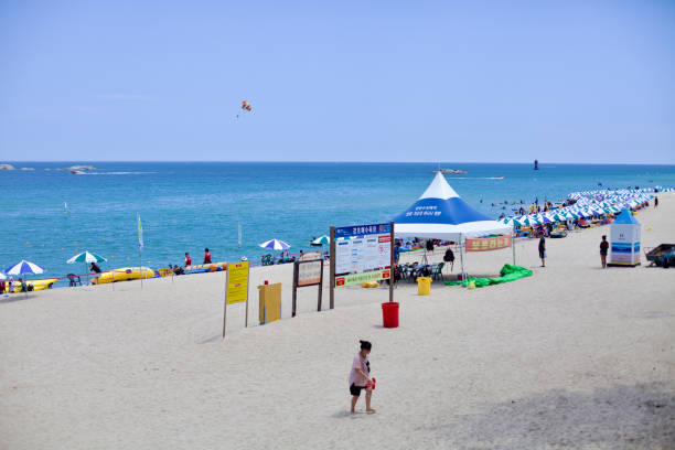 Gangneung City, South Korea - July 29th, 2019: Gyeongpo Beach comes alive with colorful tents, a parasailing parachute soaring above, boats navigating the blue waters, and beachgoers enjoying the sun, sea, and sky.