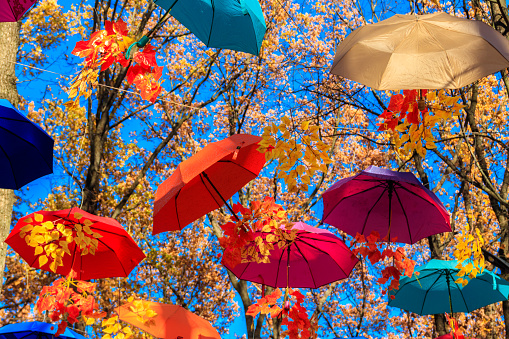 Kharkiv, Ukraine - October 22, 2021: Multicolored umbrellas on the autumn park. Colorful umbrellas hanging among trees in the fall