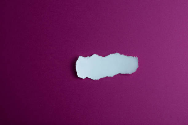 istock White Torn up paper strip on a violet background 2015177818