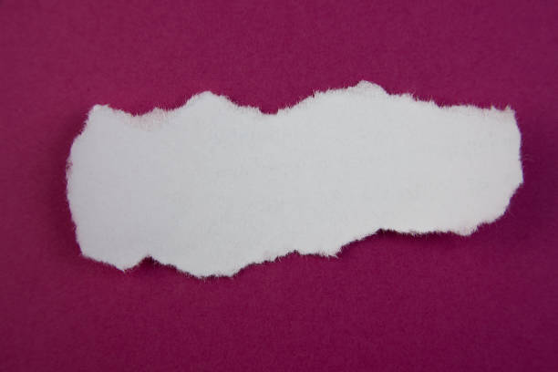 istock White Torn up paper strip on a violet background 2015177822