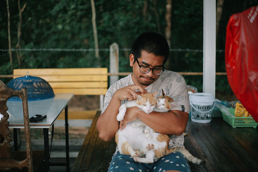man play with his cute cat