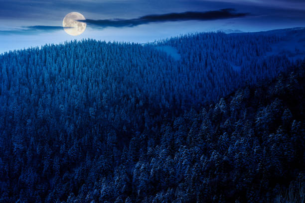 istock forested carpathian mountains in winter season at night 2015203385