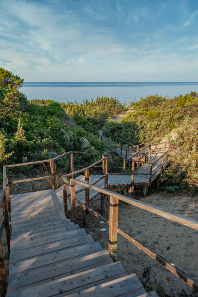 istock Access to the sea by staircase through natural sand dunes. Mediterranean scrub. 2015210036