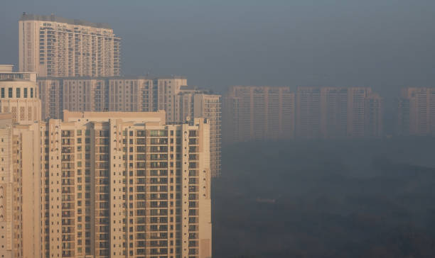 Trump Towers Delhi NCR Gurugram Haryana Trump Towers Delhi NCR Gurugram Haryana