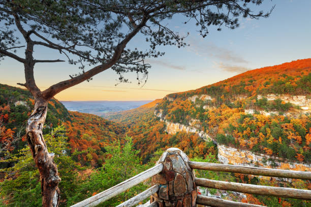 cloudland canyon, georgia, usa - lookout mountaint foto e immagini stock