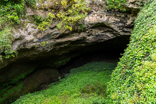 Mount Gambier Cave Garden, South Australia.