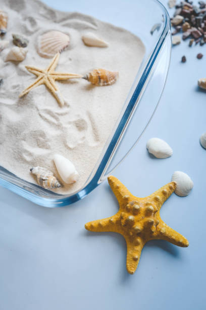 istock A child studies sand and shells, an idea for an activity with a child 2015251802