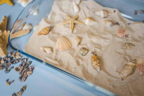 istock A child studies sand and shells, an idea for an activity with a child 2015252009