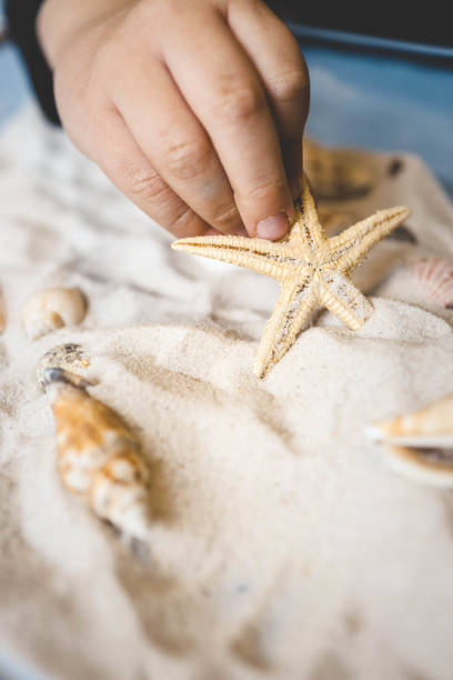 istock A child studies sand and shells, an idea for an activity with a child 2015252307