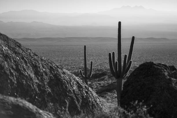 Sunrise from Marcus Landslide in the McDowell Sonoran Preserve