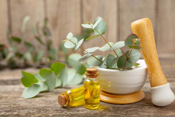 istock Eucalyptus leaves and mortar on background.Spa concept.Ingredients for alternative medicine and natural cosmetics. A bottle of essential oil and a bunch of eucalyptus. Organic skin care 2015263957
