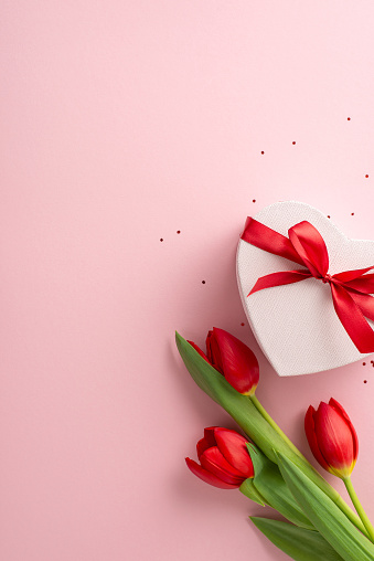 Ideal womanly party theme snapshot. Vertical view from top of a heart-studded gift box, sparkles, and a fresh tulip arrangement on a blush background, with space for text or advertising