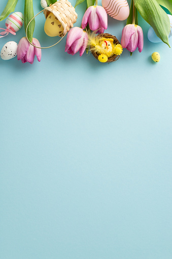 Easter whimsy: vertical top view of cheerful eggs in small basket, nest, chicken, and tulips on a serene pastel blue background. A delightful scene for conveying Easter greetings or promotions