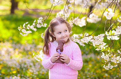 Kids with bunny ears on Easter egg hunt in blooming cherry blossom garden. Little girl eating chocolate rabbit. Spring flowers and eggs basket in fruit orchard. Children with Easter candy and sweets.