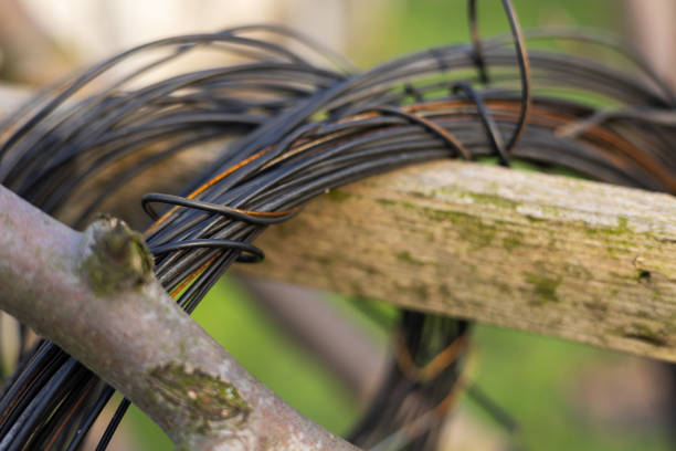 Skein of metal wire on tree close up.