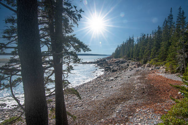 The Ocean Path Trail meanders along vast slabs of pink granite, picturesque cliffs, and breathtaking oceans views of the striking coast of Maine. The Ocean Path is a great way to access Thunder Hole and Otter Point from Sand Beach on a gradual hike. This picturesque hike is a great way to experience  Acadia National Park.