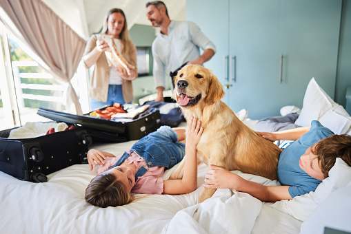 Two children playing with their family dog on a bed with their parents unpacking suitcaseduring a vacation together