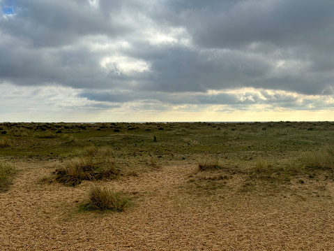 Sand dunes on a beach in Great Yarmouth, Norfolk. February 2024