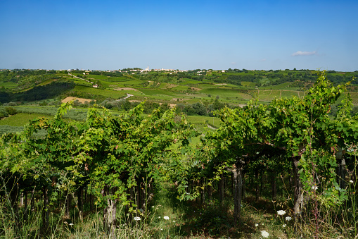 Country landscape near Lanciano, in Chieti province, Abruzzo, Italy, at summer