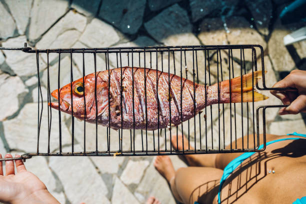 red snapper prepared to grill