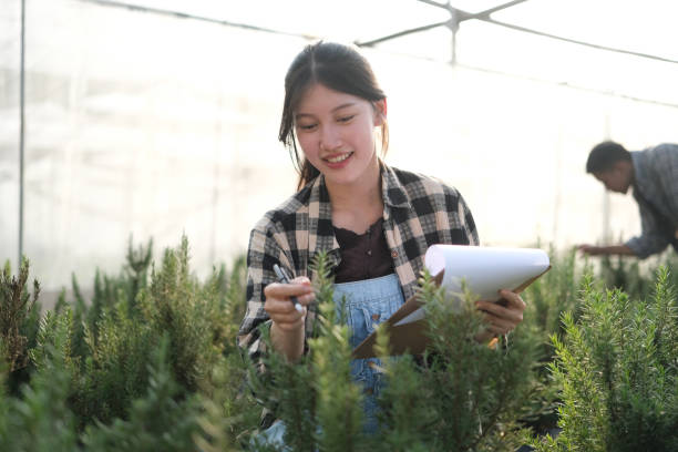 istock Young Asian smart farmer working with smart agriculture organic hydroponic vegetable greenhouse 2015399798