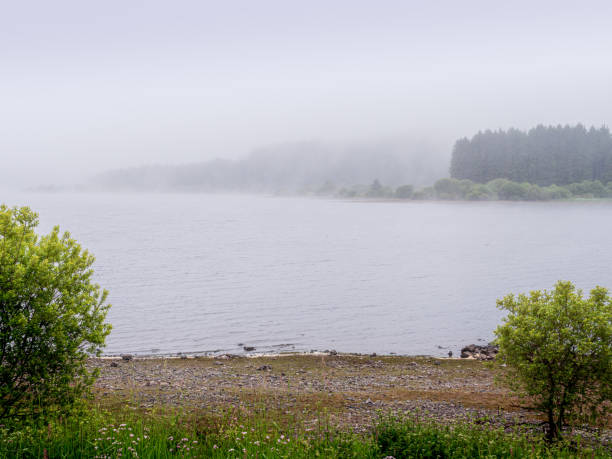 istock Reservoir on a misty day 2015406073