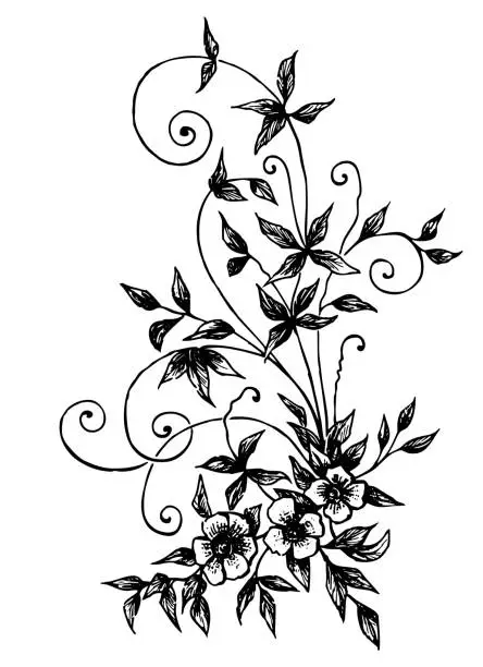 Vector illustration of Hand drawing of decorative floral vintage design element with flowers,leaves and tendrils black and white vector illustration isolated