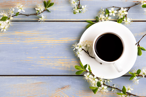 Spring composition of cup of fresh black coffee and cherry blossom branches on blue wooden background. Coffee break. Spring flowers. Flat lay, top view.